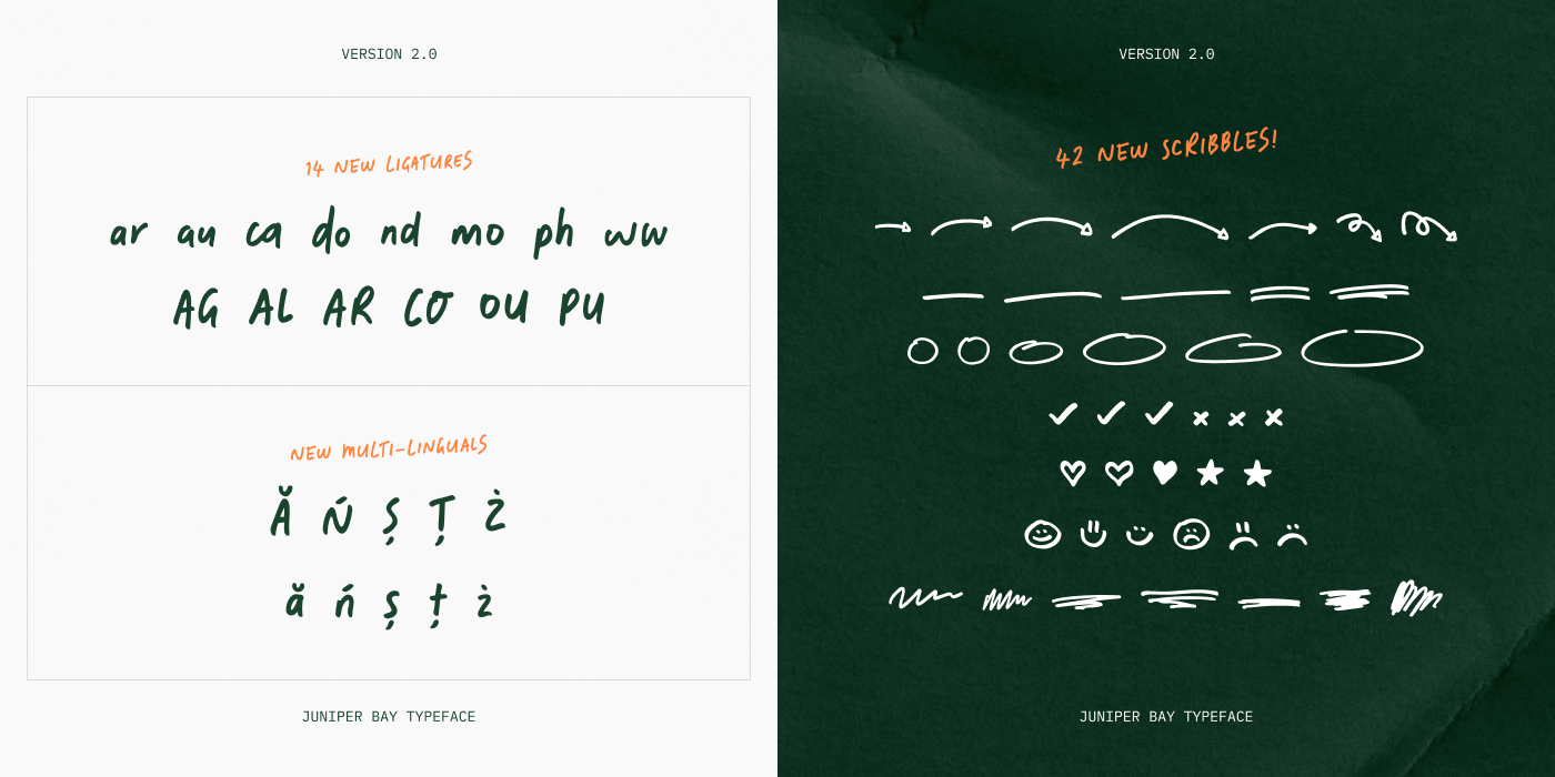 Juniper Bay new multi-lignuals and sketches